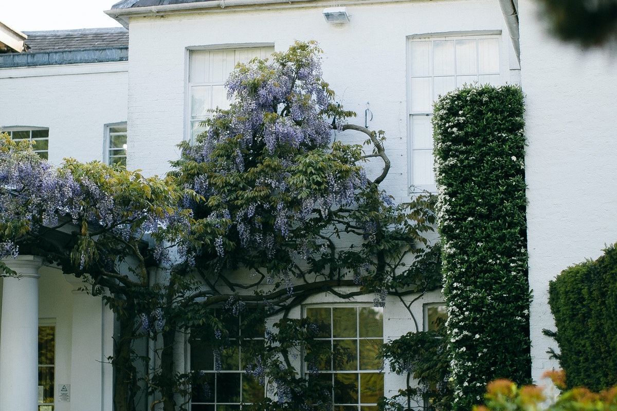 Things You Need to Know before Having a Roof Top Garden